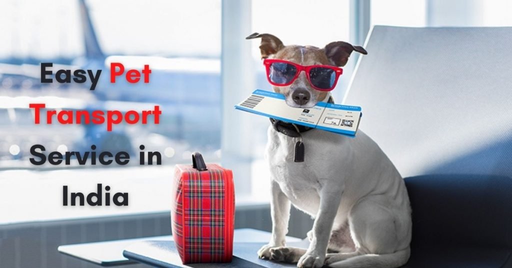 Pet transport best sale service near me