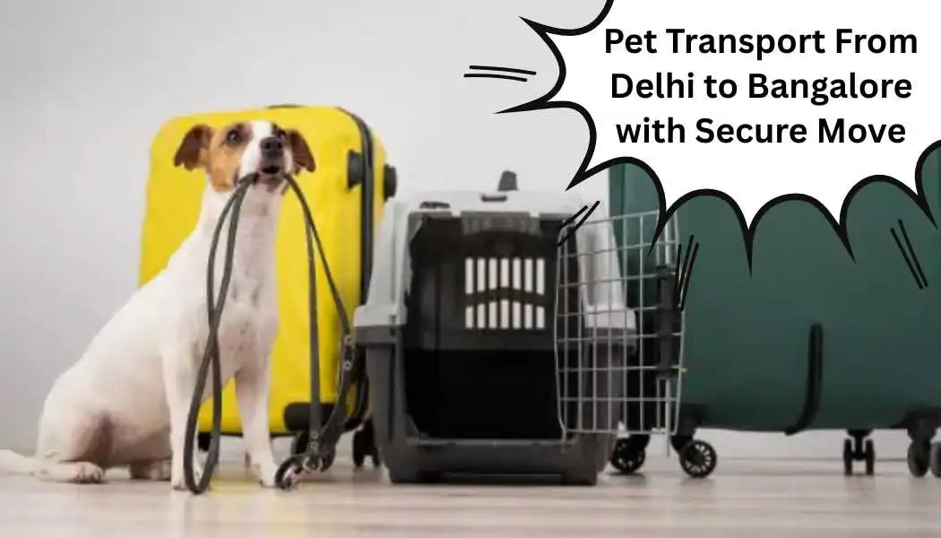 Pet Transport Delhi to Bangalore