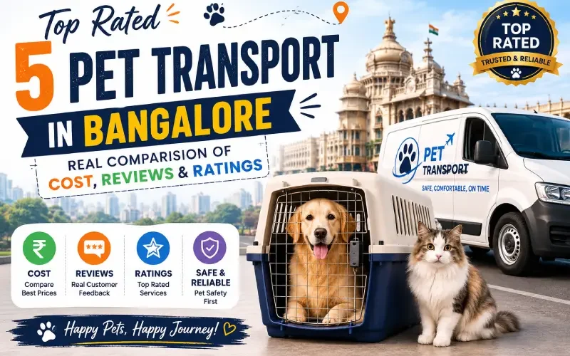 Pet Transport in Bangalore