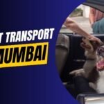 pet transport in mumbai