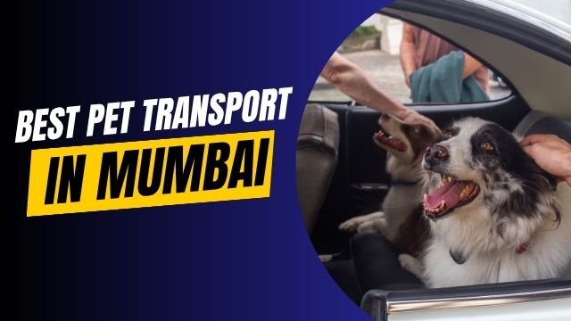 pet transport in mumbai
