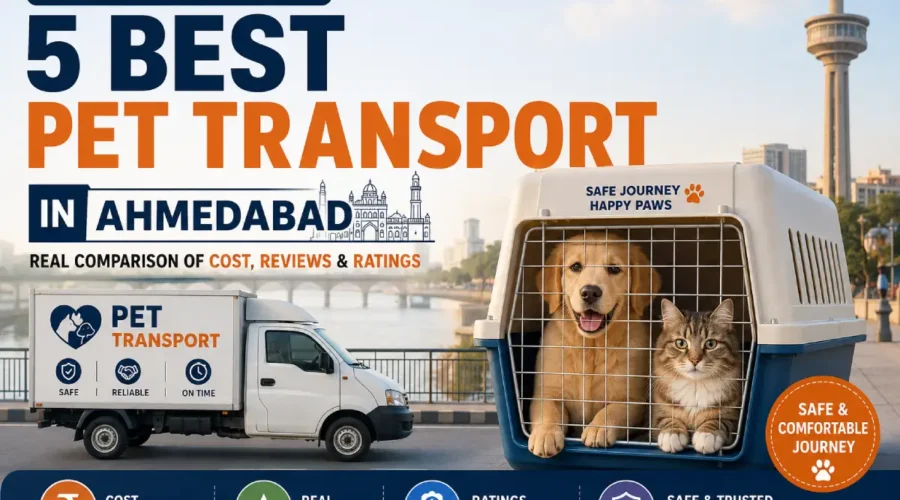Pet Transport in Ahmedabad