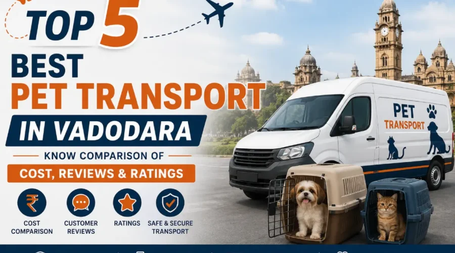 Pet Transport in Vadodara